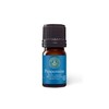 Aromatics International Peppermint Essential Oil 5ml