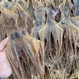 Dried Asian Cuisine Dried Seafood Dehydrated Octopus Devilfish konbu-jime kato 章魚干 八爪魚干 Free Worldwide AIRMAIL (250 grams (around 10 pieces))