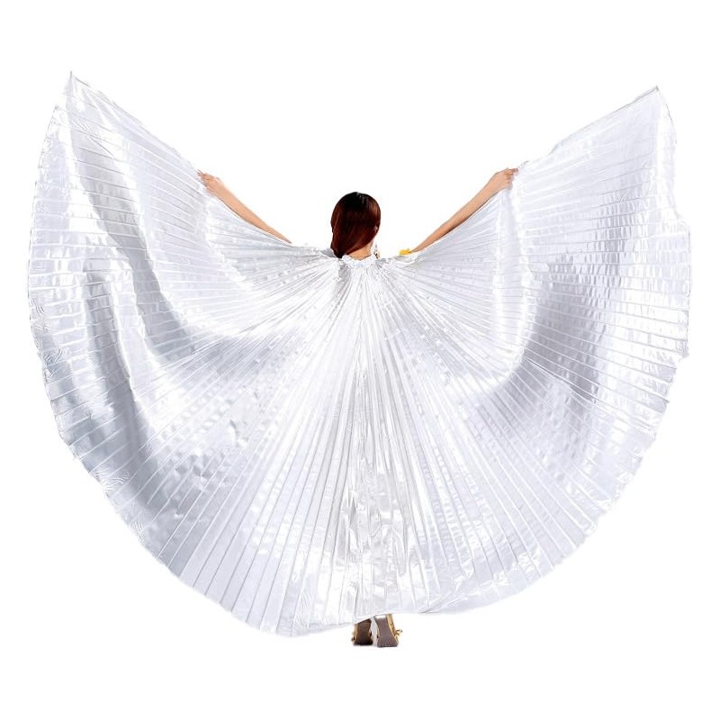 Baisdan Angel Isis Wings (Wings + Stick + Carry Bag)