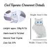 Ornalrist Crystal Clear Owl Collectible Figurines, Birthday Christmas Cute Owl