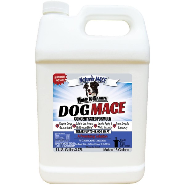 Nature’s MACE Dog Repellent 1 Gallon Concentrate / Treats 48,000 Sq. Ft. / Keep Dogs Out of Your Lawn and Garden / Train Your Dogs to Stay Out of Bushes / Safe to use Around Children & Plants