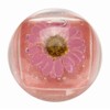 Blossom Blossom Lip Gloss Duo Rugs, Rugs, Hawaiian Hawaii Hawaii