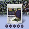 Wild Harvested Black Crowberry Freeze-Dried Powder – 2 Oz, Natural