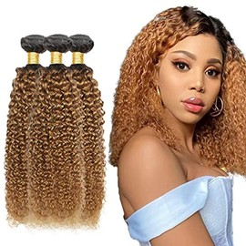 Curly Wave Honey Blonde Bundles Brazilian Remy Hair Bundle Weaves For Women Grade 8A Hair Weave Double Weft Hair Extensions 1B27 Color Bundles 12 14 16 Inch