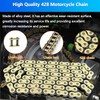 BIGLKNM 428H Motorcycle Chain 102 Links with 6pcs Connecting Master