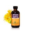 Herb Pharm St. John's Wort Topical Oil, 4 Ounce (OILSJW04)