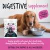 Bugalugs Probiotics For Dogs - Powder, Simple To Add To