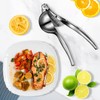 Rekix lemon Squeezer, Max Extraction Hand Press Lemon Juicer, Heavy