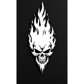 CAR Gargoyle Decal Sticker Skull Flat Surfaces Car Truck Motorcycle Laptop Window