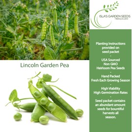 Lincoln Garden Pea Seeds (Pisum sativum) – 50+ Heirloom Non-GMO Seeds by Isla’s Garden Seeds, Tall Sweet Shelling Variety for Trellises & Spring Harvests, Cold-Tolerant Cool-Season Crop, Gift Idea