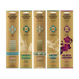 Gonesh - Extra Rich Scented Incense Sticks Variety Pack - Non-toxic 10” Slow Burn Aromatic Sticks - Ocean, Cryptic Woods, Sage, Arctic Chill, Black Orchid - 5 Packs of 20 Sticks