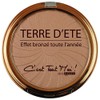 Golden Iridescent Bronzed Makeup Powder 12 Grams