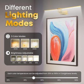 doublacy 2 Pack Picture Light for Wall, 18in Rechargeable Wall Art Light with Timer and Dimmable, Painting Frame Light with Remote Control Display for Wall Painting, Frame, Portrait, Dartboard (Gold)