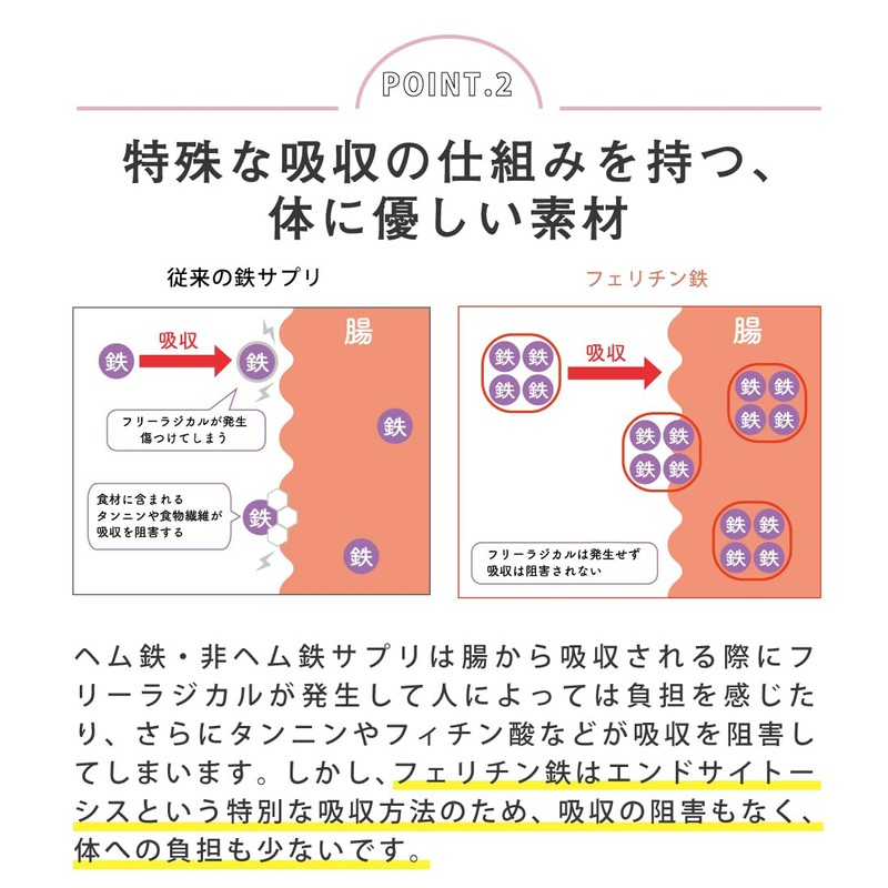 withmoon フェリチン鉄パウダー ハーフサイズ(45g)