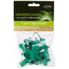 Tildenet Small Cane Caps