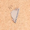 Alnicov 10 String Mandolin Tailpiece with Screws for Guitar or