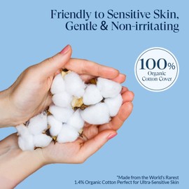 Rpe Life 100% Organic Panty Liners for Women-120ct, Ultra Thin Cotton Cover, Regular Pantiliners, Light Absorbency, Unscented Barely There Pantie Liners (Regular Liner, Size 1, 120ct)