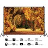 DASHAN 10x8ft Fall Leaves Fall Forest Backdrop Fall Wedding Autumn