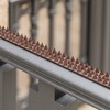 Outdoor Plastic Repellent Wall Defender Fence Spikes for Birds, 10
