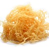 Golden Sea Moss - Golden Sea Moss - Superfood 100%