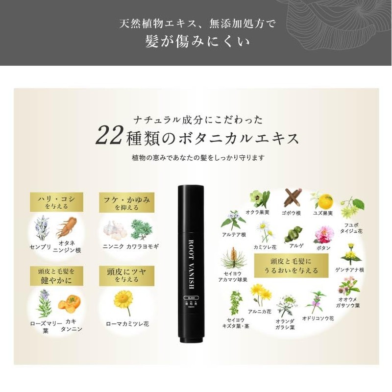 Kazumi KIWABI Hair Hiding Stick Type, Light Brown, Set of