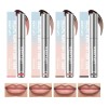 Delineador De Labios Tattoo Peel-off Brillo Labial Mate 4pcs