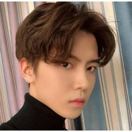 Wig, Short, Men's, Full Wig, Short Hair, Wig, Natural, Heat Resistant, Handsome, For Men, Natural, Small Face, Heat Resistant, Popular, Fashion, Aged Gentleman Wig (Brown)