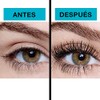 Maybelline Vex Falsies Mascara A Prueba de Agua, color Negro