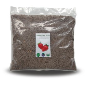 Brown Lentils, Small, 5 Pounds USDA Certified Organic, Non-GMO, Bulk, Product of USA, Mulberry Lane Farms