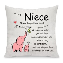 Sister Throw Pillow Cover Gift Big Middle Little Sister Gift from Sister Inspirational Gift Graduation Gift for Sister Pillow Case Gift Birthday (Niece)