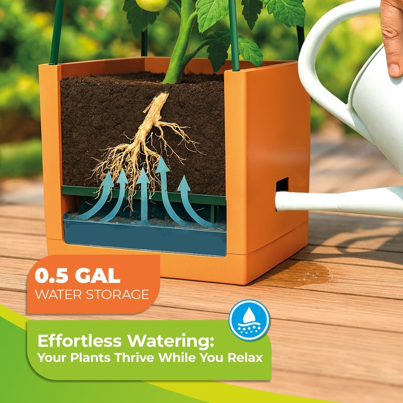 Bio Green 2 Pack Garden Tomato Planter MAXITOM, with Plant