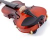 Unbranded GV100 1/8 Acoustic Solid Wood Violin Case Bow Rosin