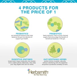 Herbsmith Microflora Plus – Dog Digestion Aid –Probiotics and Digestive Enzymes for Dogs – Prebiotic for Dogs – 60 Capsules | Herbsmith