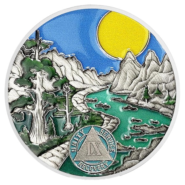 9 Year Sobriety Coin AA Chips and Medallions - Sun