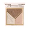 Light and Shadow Artist Blush Shading Highlights All-in-One Disc Brighten