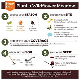 Northeast Wildflower Seed Mix - 1 Pound - Mixed Wildflower Seeds, Attracts Bees, Attracts Butterflies, Attracts Hummingbirds, Attracts Pollinators, Easy to Grow & Maintain, Cut Flower Garden