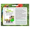 Pcs - 10x Aeonium SSP. Mix Mixture at Least 5
