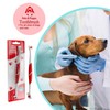 Pets & Pupps Pet Toothbrush for Dogs, Cats with Soft