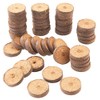 Meister Coconut swelling tablets, diameter 3.5 cm, practical set of
