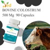 Colostrum, Transfer Factor - 500 mg x 90 Capsules