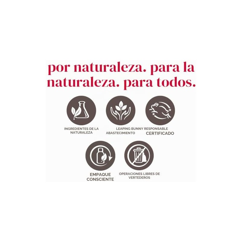 Burt's Bees - Brillo labial hidratante 100% natural, color champán,