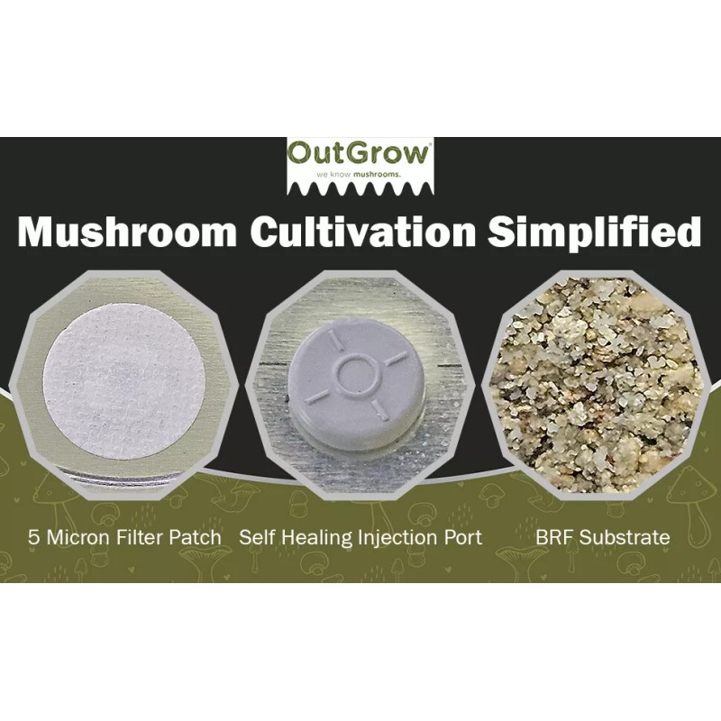 Out-Grow BRF Jars Brown Rice Flour Mushroom Substrate (6 Pack)