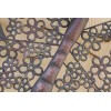 SHORELY YOURS DECOR Metal Butterfly Wall Decor - Extra Large
