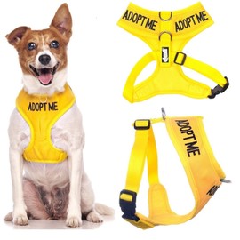 Dexil Limited Adopt ME (I Need A New Home) Yellow Color Coded Non-Pull Front and Back D Ring Padded and Waterproof Vest Dog Harness Prevents Accidents by Warning Others of Your Dog in Advance (S)