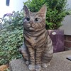 Vivid Arts Sitting Cats (Tabby Cat)