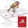 Robin Pop Up Christmas Cards 3D Single Xmas Card for