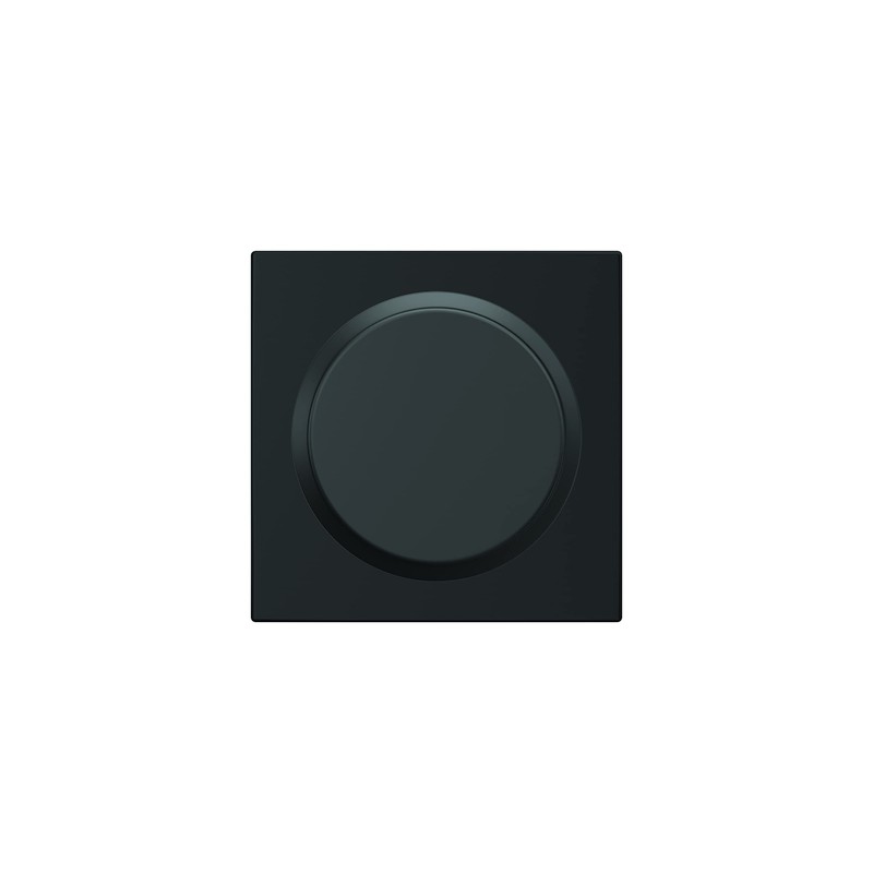 Schlage F10 BWE 622 COL 16-080 10-027 134 Front Entry