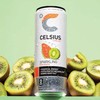 Celsius Essential Energy Sparkling Variety Pack (12 fl. oz., 6
