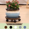 8 Packs Plant Caddy with Wheels 12" Plastic Rolling Plant