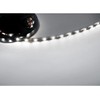 Dream lighting RV Trailer LED Strip Lights 61inch/1.6M 3528SMD 12volt